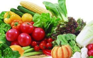 山西科普惠農(nóng)特色優(yōu)質(zhì)農(nóng)產(chǎn)品展銷會盛大開幕，花卉產(chǎn)業(yè)綻放異彩