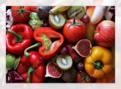 生機盎然 從水果蔬菜圖片到苗木培育的藝術